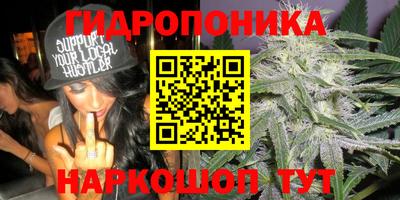 ECSTASY Пушкино