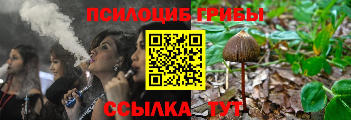 Галлюциногенные грибы GOLDEN TEACHER  Вход с VPN  Галлюциногенные грибы ЛСД  Таганрог 